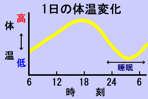 1日の体温変化