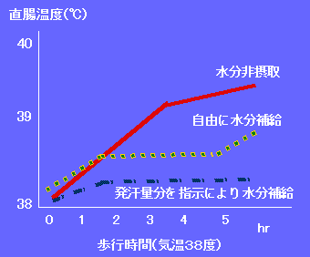 気温38℃の中で歩き続けた時の体温の変化