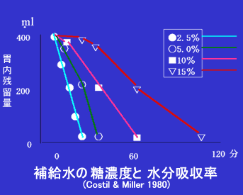 補給水の糖濃度と水分吸収率