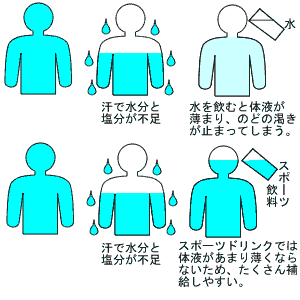 体液が薄くならないように