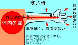 寒いときの体内の熱